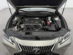 2022 Lexus ES 200 Excellence — фото 17