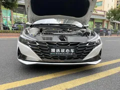 2022 Hyundai Elantra 1.5L CVT GLX Elite, белый — фото 18