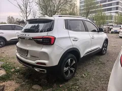 2021 Chery Tiggo 5x 1.5L CVT Luxury, белый — фото 4
