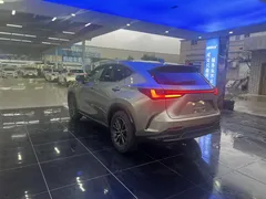 2023 Lexus NX 260 2WD — фото 6