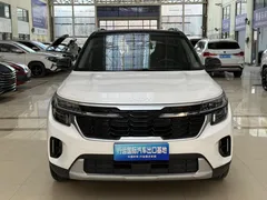 2023 Kia Seltos 1.5L IVT Luxury, белый — фото 2