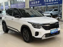 2023 Kia Seltos 1.5L IVT Luxury, белый — фото 3