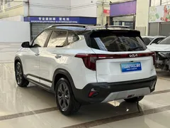 2023 Kia Seltos 1.5L IVT Luxury, белый — фото 17
