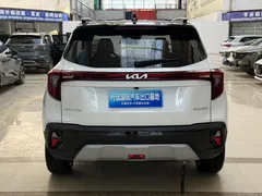 2023 Kia Seltos 1.5L IVT Luxury, белый — фото 19