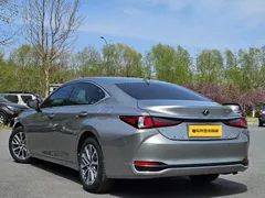 2021 Lexus ES 200 Excellence — фото 9
