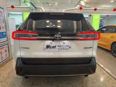 2022 Toyota Wildlander 2.0L 2WD Leading, белый — фото 10