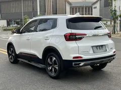 2021 Chery Tiggo 5x 1.5L CVT Luxury, белый — фото 4