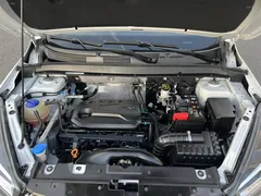2021 Chery Tiggo 5x 1.5L CVT Luxury, белый — фото 19