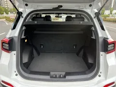 2021 Chery Tiggo 5x 1.5L CVT Luxury, белый — фото 20