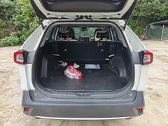 2021 Toyota Wildlander 2.0L 2WD Luxury, белый — фото 15