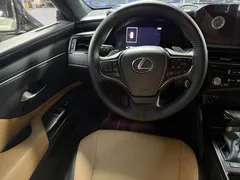 2022 Lexus ES 200 Excellence — фото 14