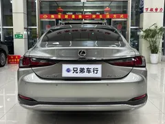2022 Lexus ES 200 Excellence — фото 8