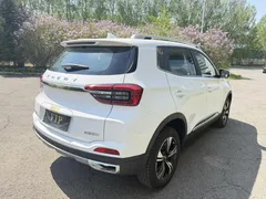 2021 Chery Tiggo 5x 1.5L CVT Luxury, белый — фото 6