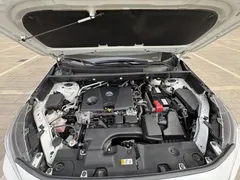 2023 Toyota Wildlander 2.0L 2WD Luxury Plus, белый — фото 11