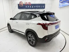 2023 Kia Seltos 1.5L IVT Luxury, белый — фото 4