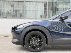 2021 Mazda CX-30 2.0L AT, синий — фото 17