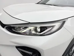 2023 Toyota Wildlander 2.0L 2WD Luxury Plus, белый — фото 17
