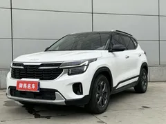 2023 Kia Seltos 1.5L IVT Luxury, белый — фото 1