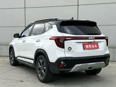 2023 Kia Seltos 1.5L IVT Luxury, белый — фото 6