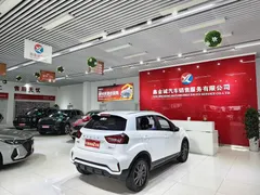 2021 Geely Vision X3 1.5L CVT Premium, белый — фото 8
