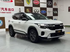 2023 Kia Seltos 1.5L IVT Luxury, белый — фото 3
