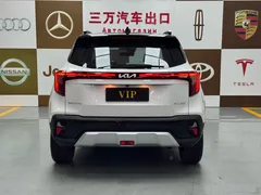 2023 Kia Seltos 1.5L IVT Luxury, белый — фото 5