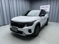 2023 Kia Seltos 1.5L IVT Luxury, белый — фото 1