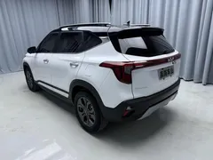 2023 Kia Seltos 1.5L IVT Luxury, белый — фото 4