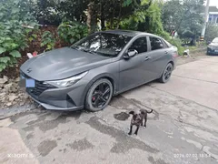 2022 Hyundai Elantra 1.5L CVT 20th SE 20th Anniversary — фото 8