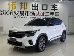 2023 Kia Seltos 1.5L IVT Luxury, белый — фото 1