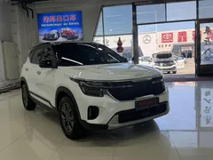 2023 Kia Seltos 1.5L IVT Luxury, белый — фото 3
