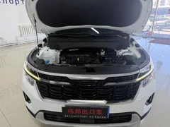 2023 Kia Seltos 1.5L IVT Luxury, белый — фото 21