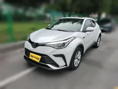 2023 Toyota IZOA 2.0L 20th Anniversary Platinum Edition, белый — фото 1