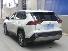 2023 Toyota RAV4 2.0L CVT 2WD 20th Anniversary Platinum, белый — фото 7