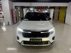 2023 Kia Seltos 1.5L IVT Luxury, белый — фото 2