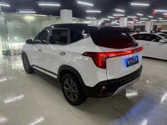 2023 Kia Seltos 1.5L IVT Luxury, белый — фото 12