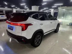 2023 Kia Seltos 1.5L IVT Luxury, белый — фото 14