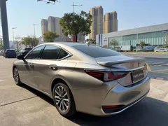 2022 Lexus ES 200 Excellence — фото 10