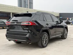 2023 Toyota Wildlander 2.0L 2WD Luxury Plus, чёрный — фото 11