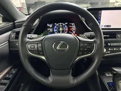 2022 Lexus ES 200 Excellence — фото 10
