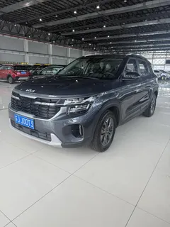 2023 Kia Seltos 1.5L IVT Luxury — фото 1