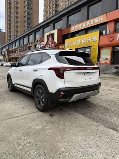 2023 Kia Seltos 1.5L IVT Luxury, белый — фото 4