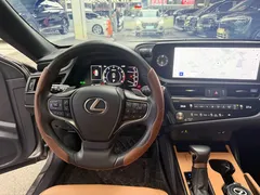 2022 Lexus ES 200 Excellence — фото 14
