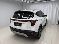 2023 Kia Seltos 1.5L IVT Luxury, белый — фото 7