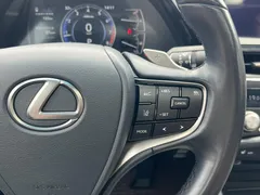2022 Lexus ES 260 Excellence — фото 23
