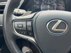 2022 Lexus ES 260 Excellence — фото 24