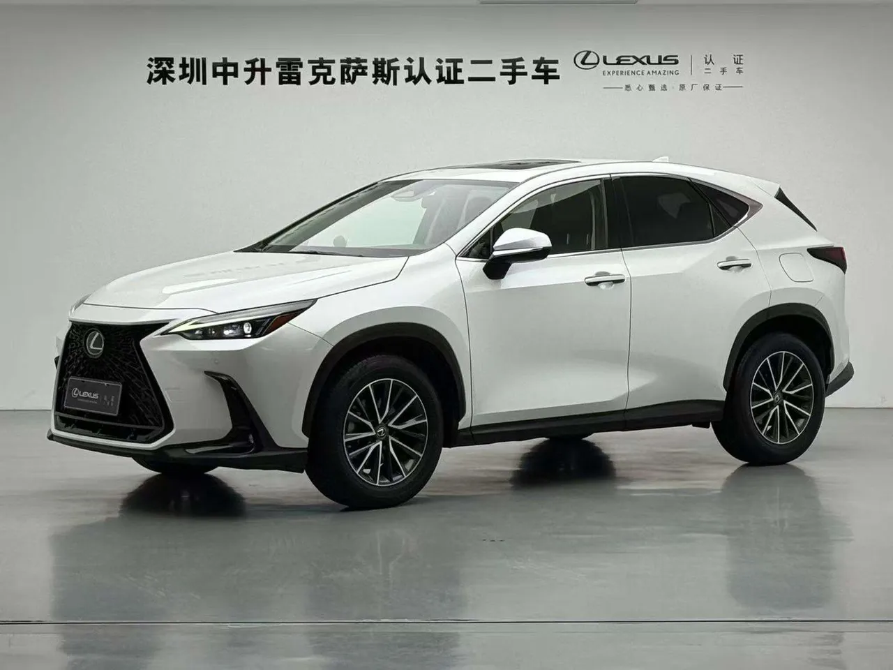 2022 Lexus NX 260 2WD