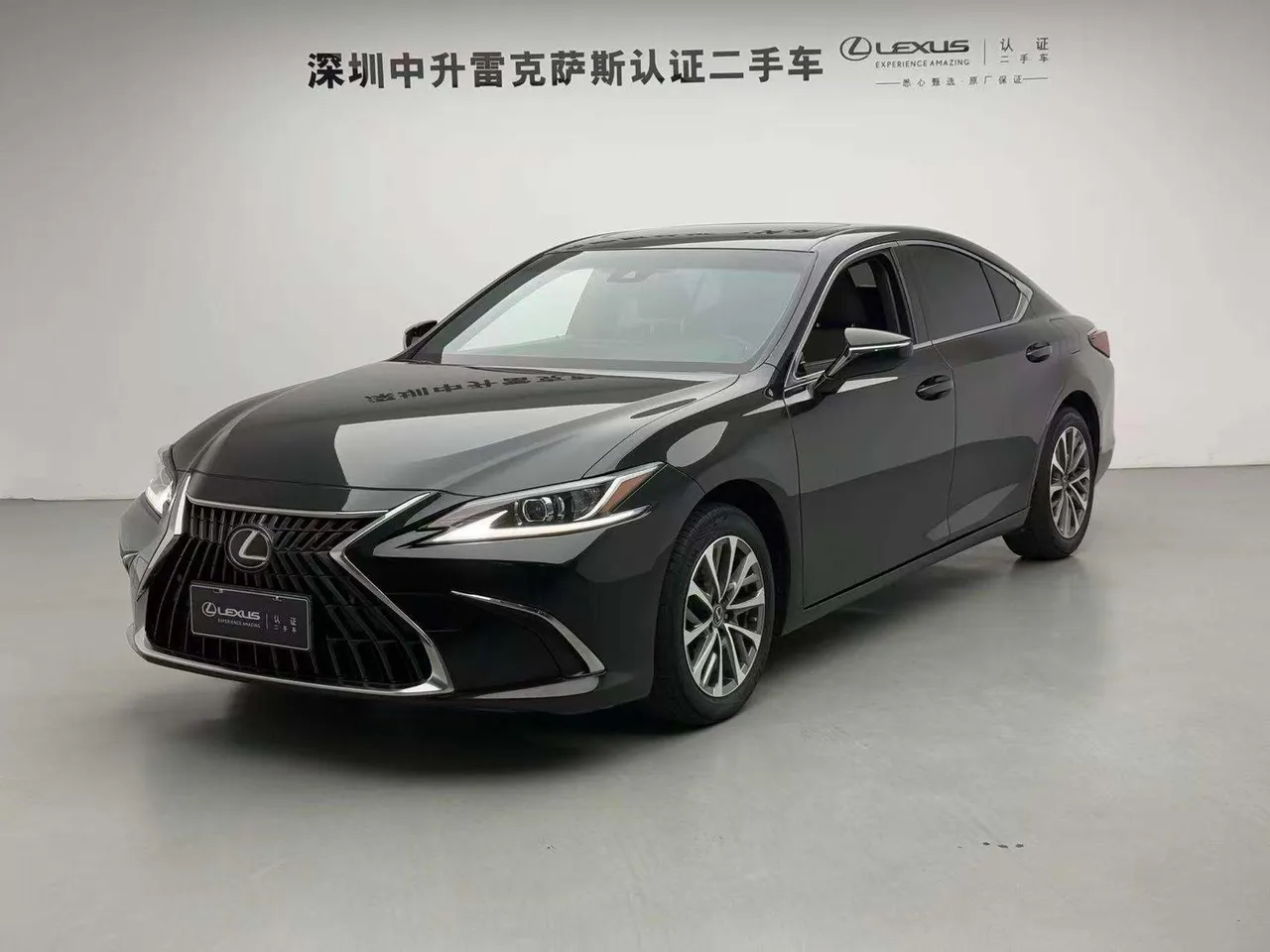 2021 Lexus ES 200 Excellence