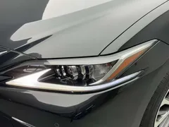 2021 Lexus ES 200 Excellence, чёрный — фото 14