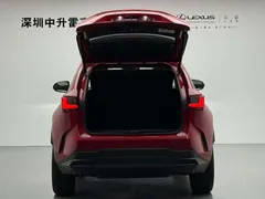 2022 Lexus NX 260 2WD, красный — фото 15